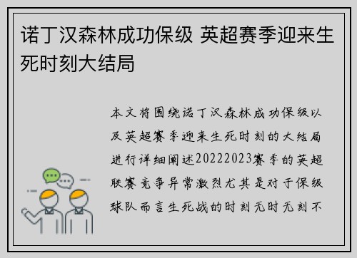 诺丁汉森林成功保级 英超赛季迎来生死时刻大结局