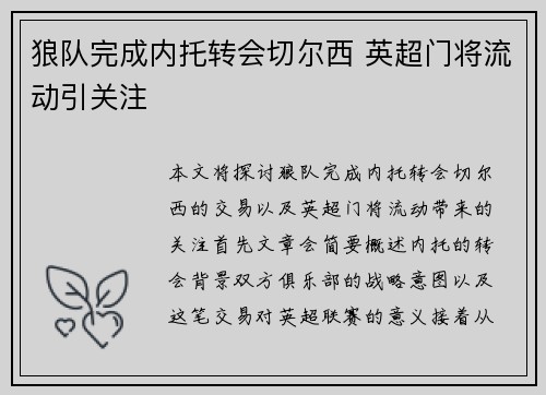 狼队完成内托转会切尔西 英超门将流动引关注